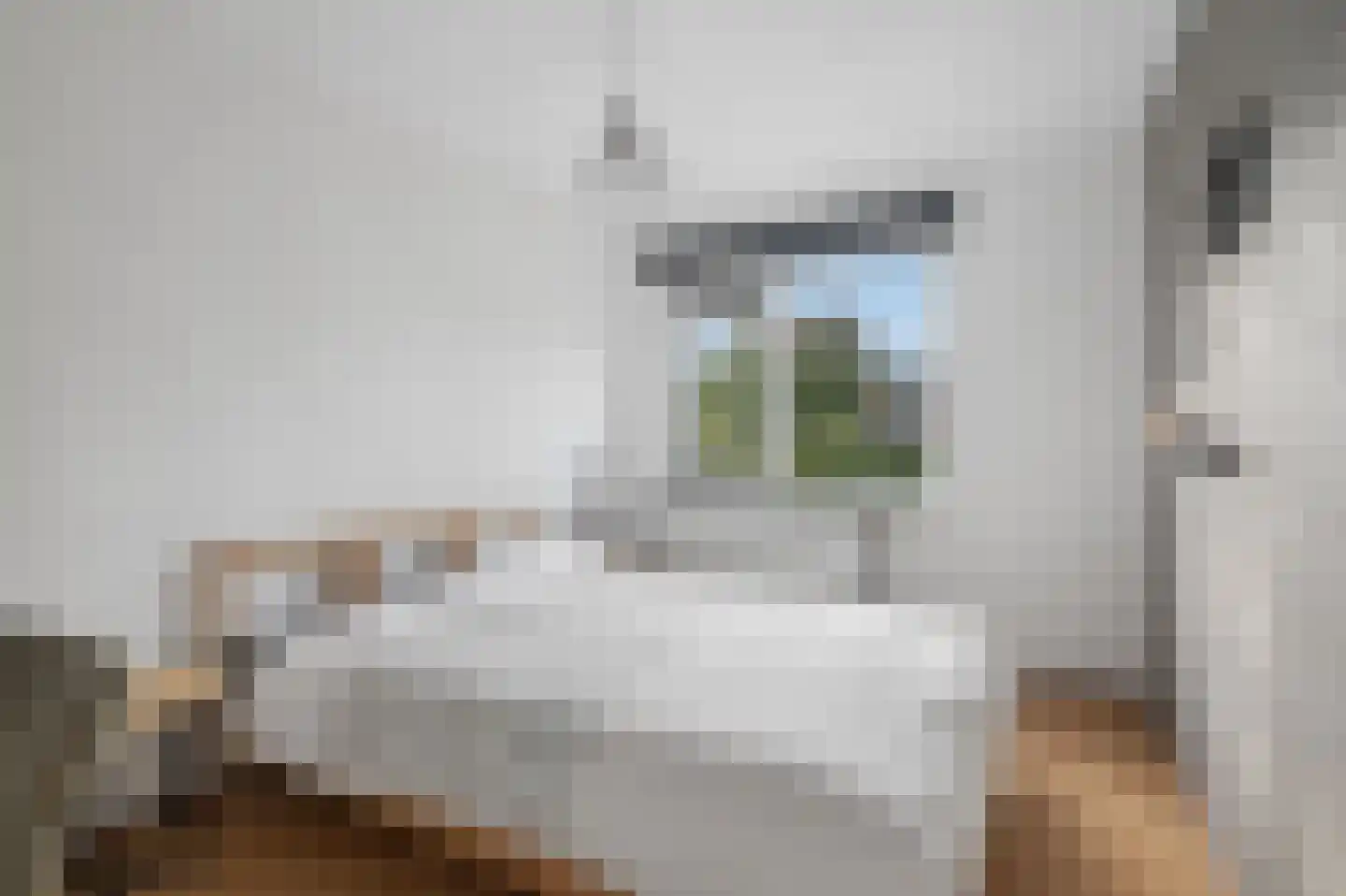 Stakenberg 32 Ede thumbnail 21