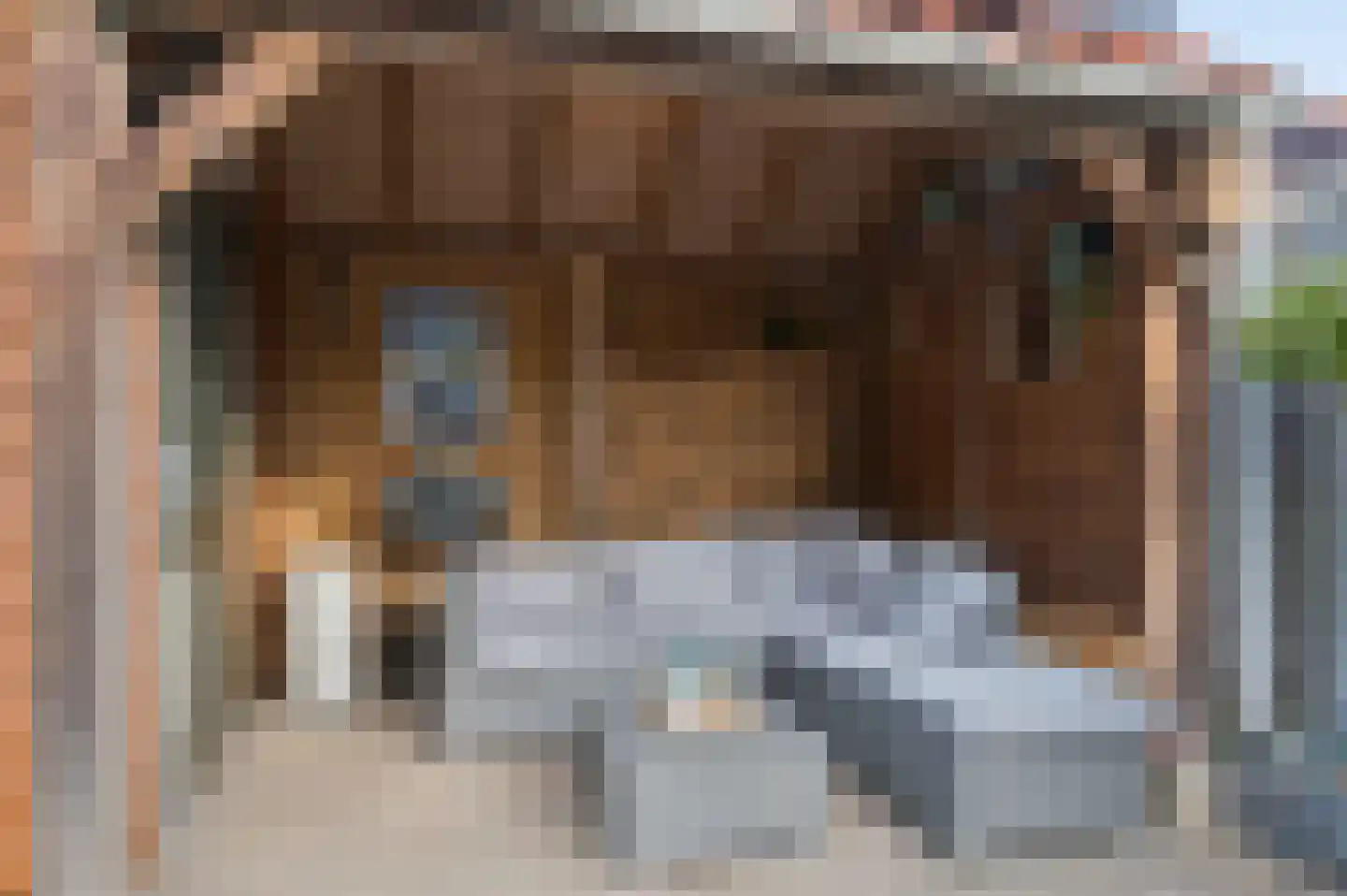 Stakenberg 32 Ede thumbnail 32