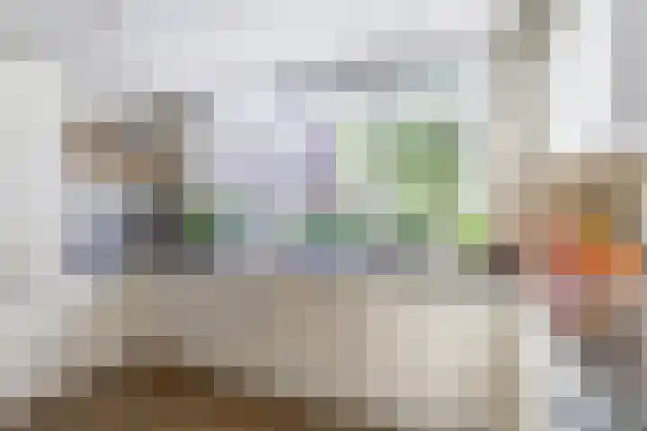 Stakenbergerhout 101 Harderwijk thumbnail 12