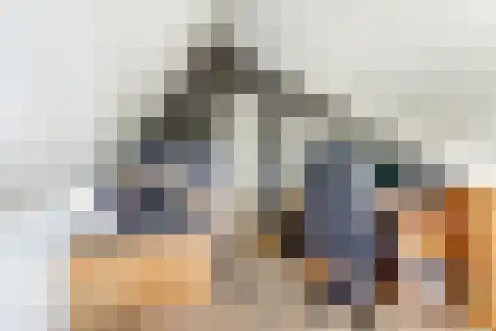 Stakenbergerhout 101 Harderwijk thumbnail 30