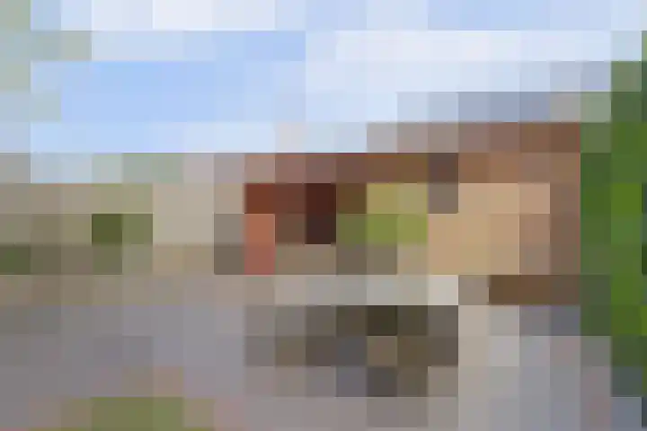 Stakenbergerhout 101 Harderwijk thumbnail 32