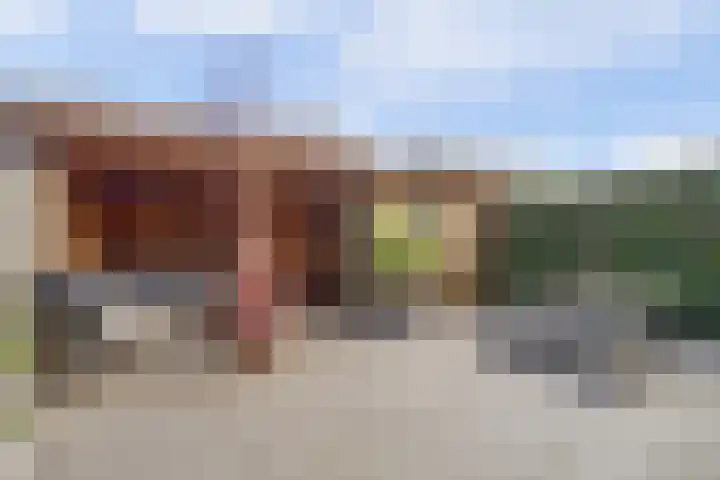 Stakenbergerhout 101 Harderwijk thumbnail 33