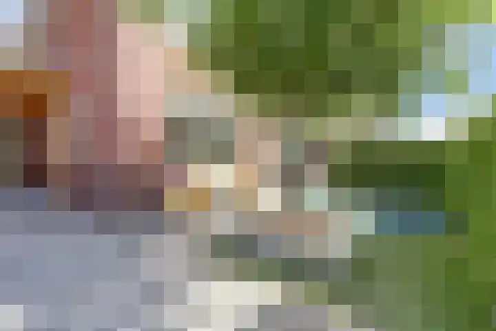 Stakenbergerhout 101 Harderwijk thumbnail 36