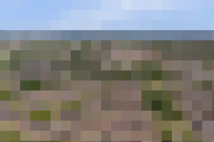 Stakenbergerhout 101 Harderwijk thumbnail 39