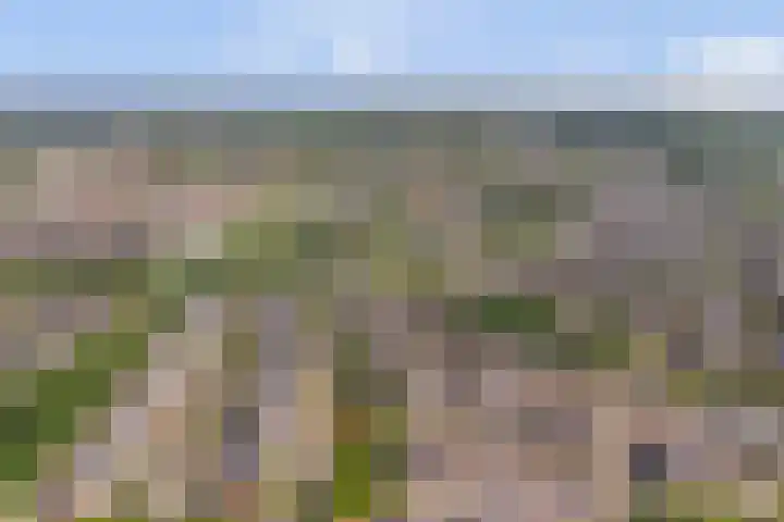 Stakenbergerhout 101 Harderwijk thumbnail 40