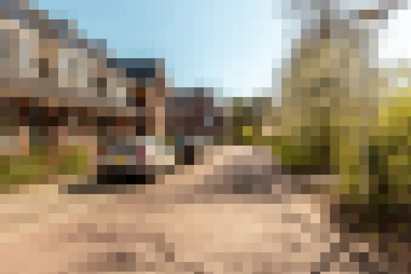 Stakenbergerhout 56 Harderwijk thumbnail 45