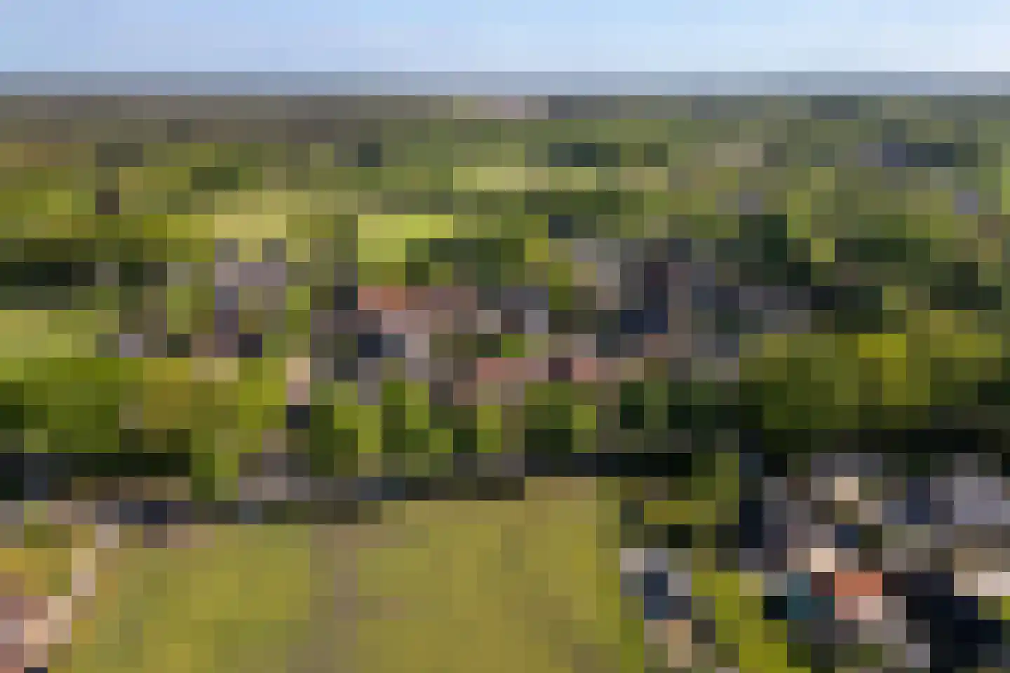 Stakenbergweg 24 Elspeet thumbnail 42
