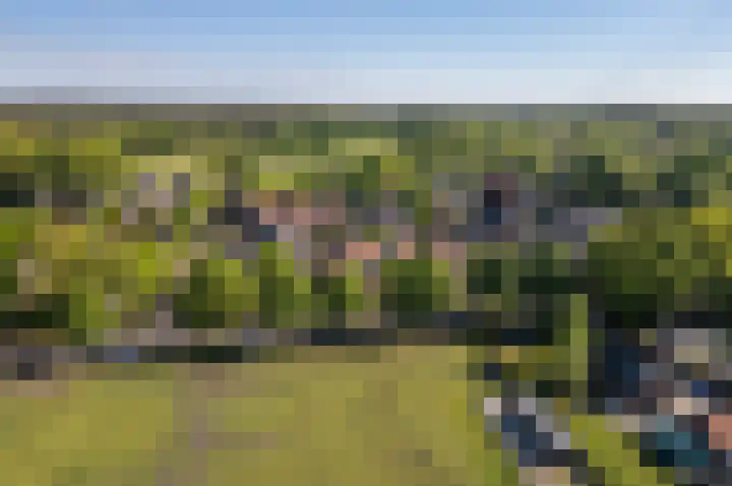Stakenbergweg 24 Elspeet thumbnail 43