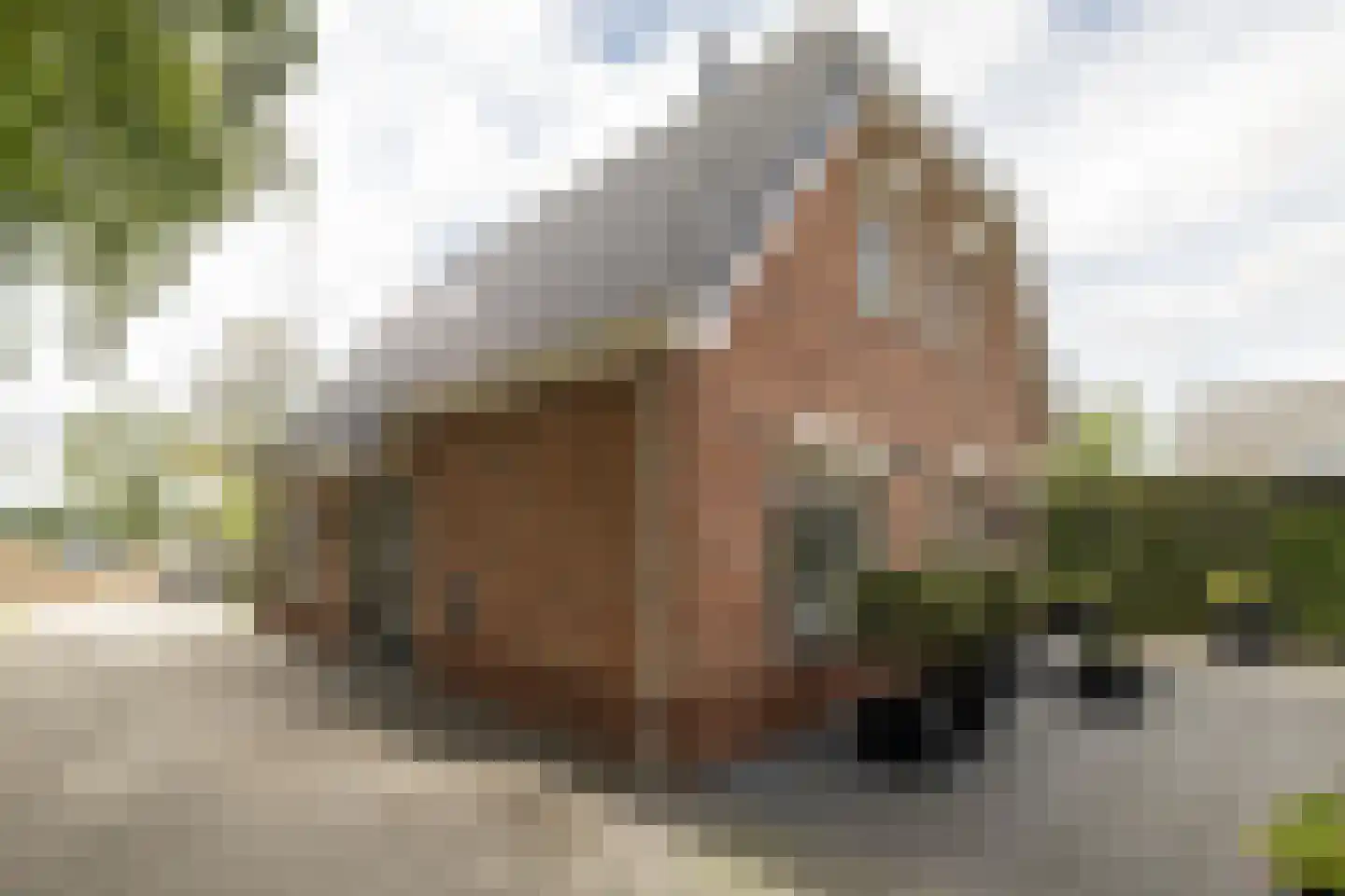 Stakenbergweg 30 a Elspeet thumbnail 54