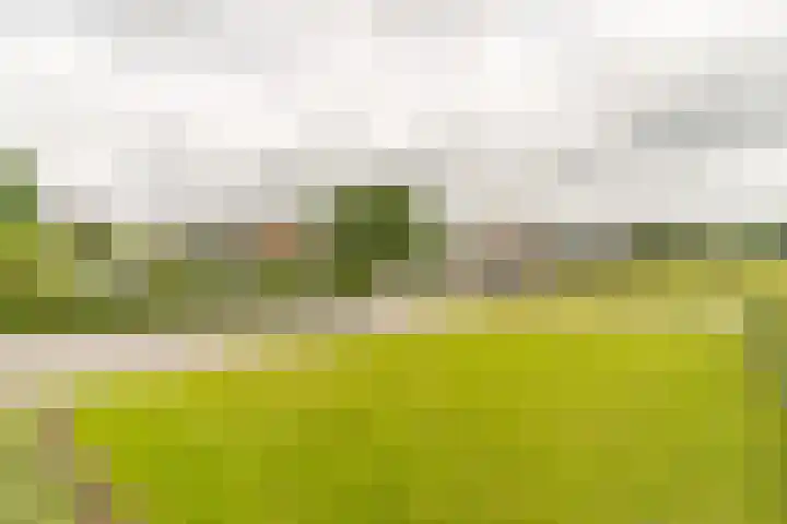 Stakenbergweg 49 Elspeet thumbnail 9