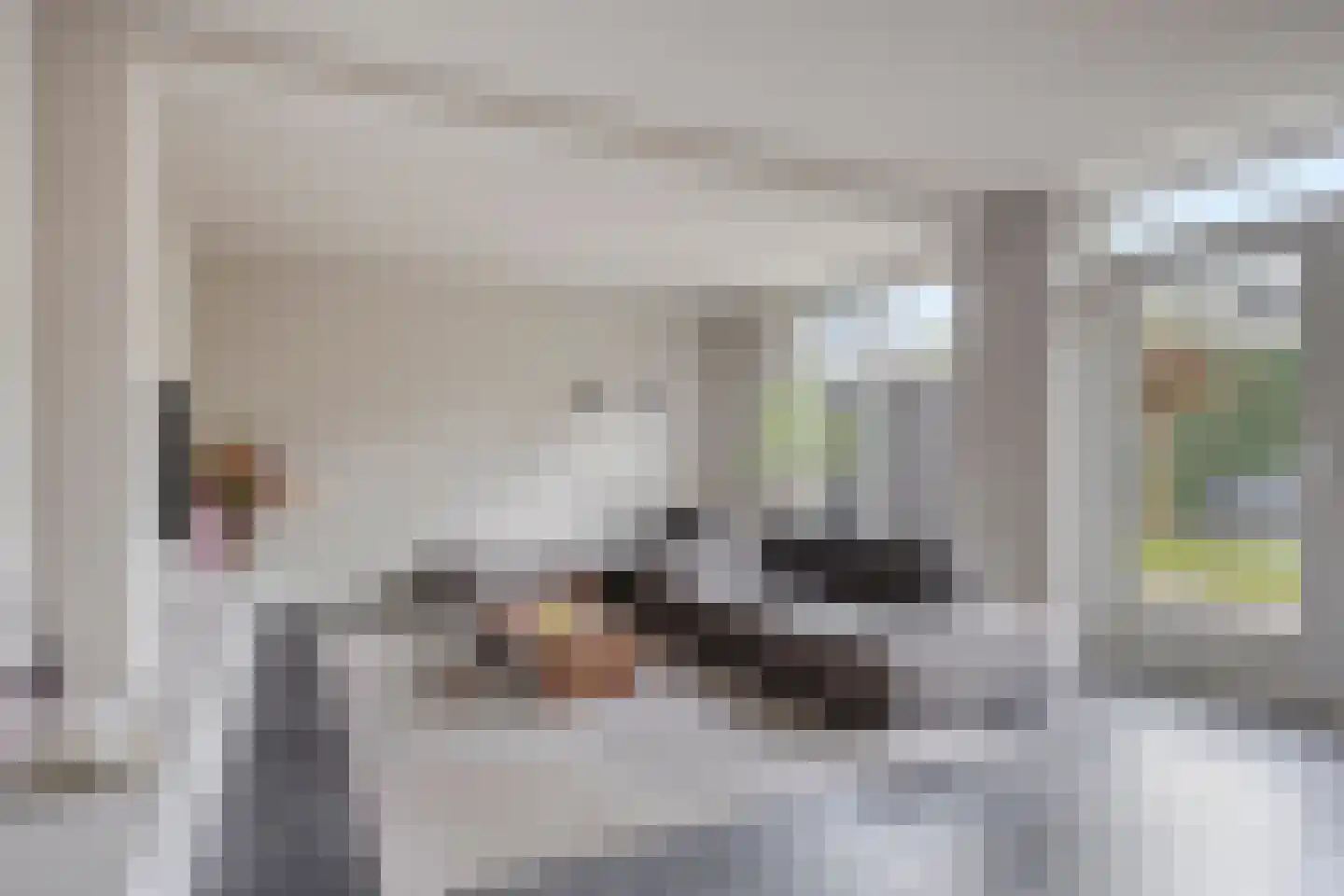 Stakenborg 34 Oss thumbnail 16