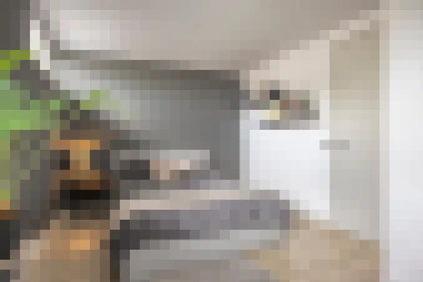 Stakenborg 34 Oss thumbnail 28