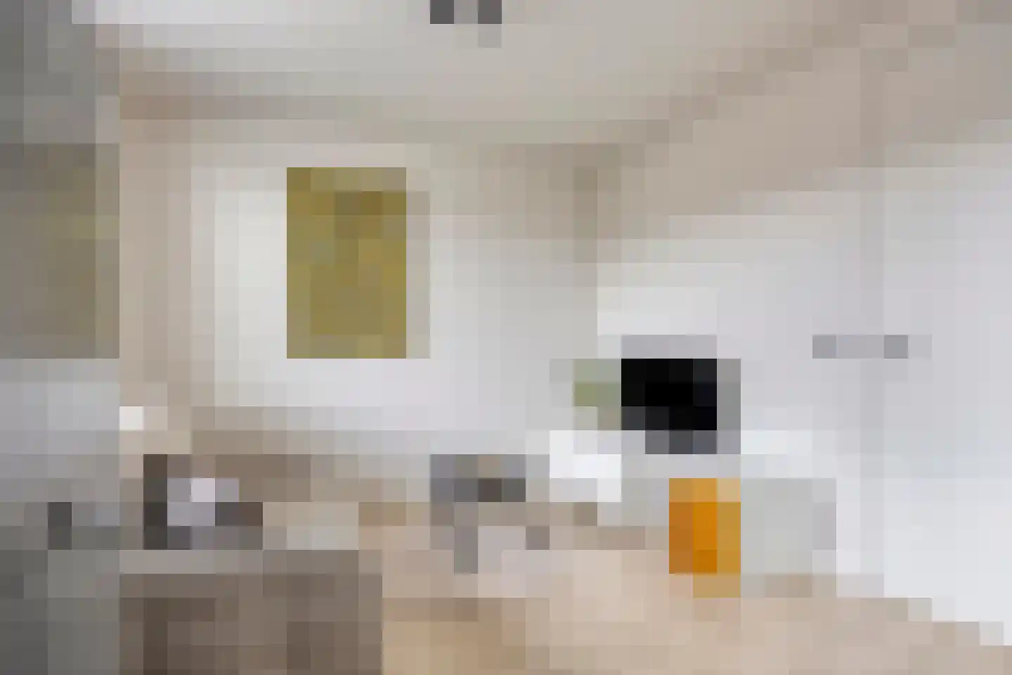 Stakenborg 34 Oss thumbnail 33