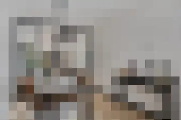 Stakenborg 4 Oss thumbnail 10