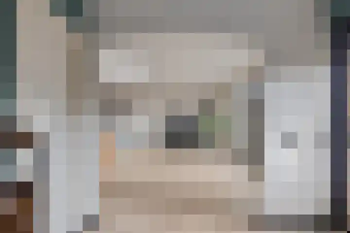 Stakenborg 4 Oss thumbnail 11