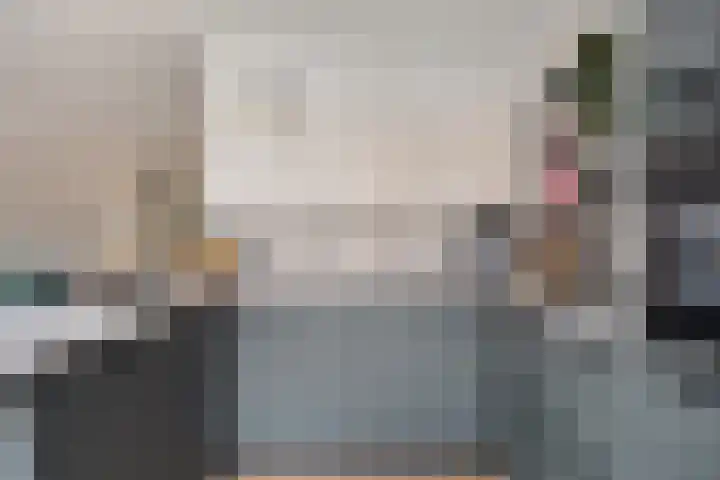 Stakenborg 4 Oss thumbnail 12