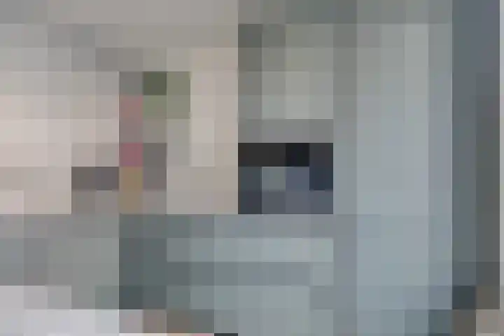 Stakenborg 4 Oss thumbnail 13