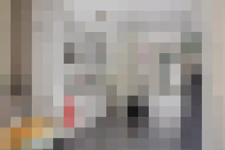 Stakenborg 4 Oss thumbnail 15