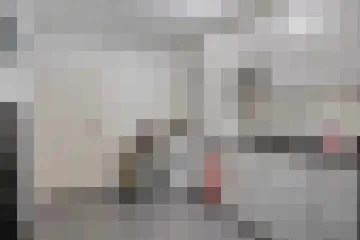 Stakenborg 4 Oss thumbnail 16