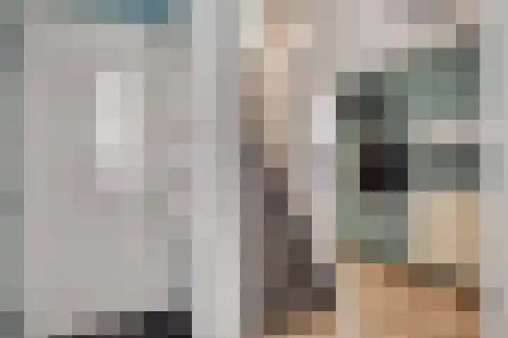 Stakenborg 4 Oss thumbnail 18