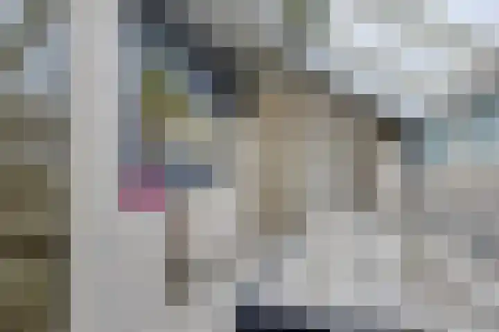 Stakenborg 4 Oss thumbnail 19