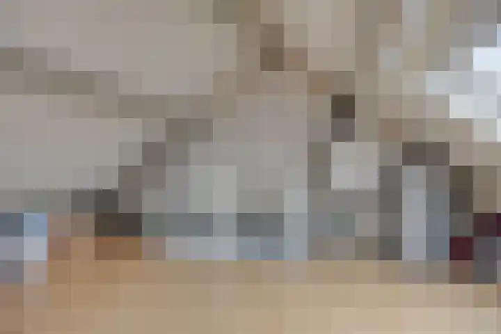 Stakenborg 4 Oss thumbnail 25