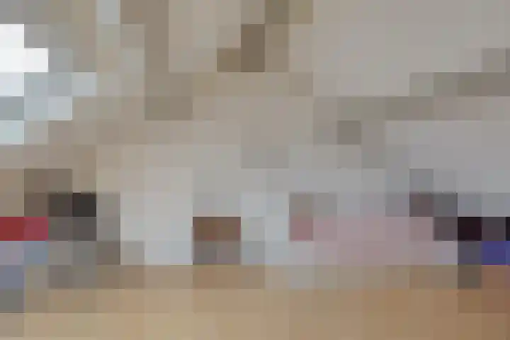 Stakenborg 4 Oss thumbnail 26