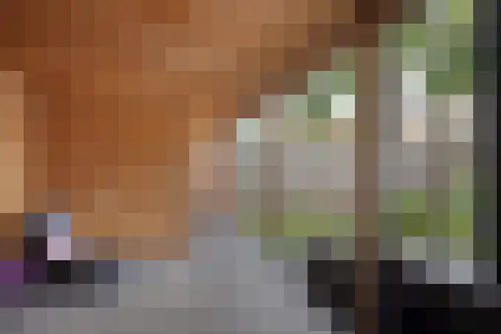 Stakenborg 4 Oss thumbnail 28