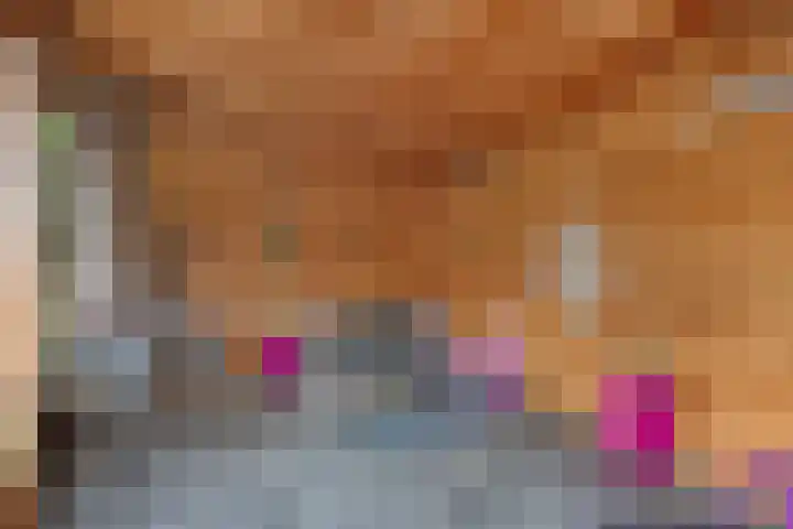Stakenborg 4 Oss thumbnail 29