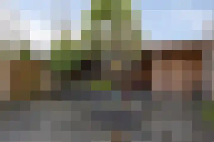 Stakenborg 4 Oss thumbnail 30