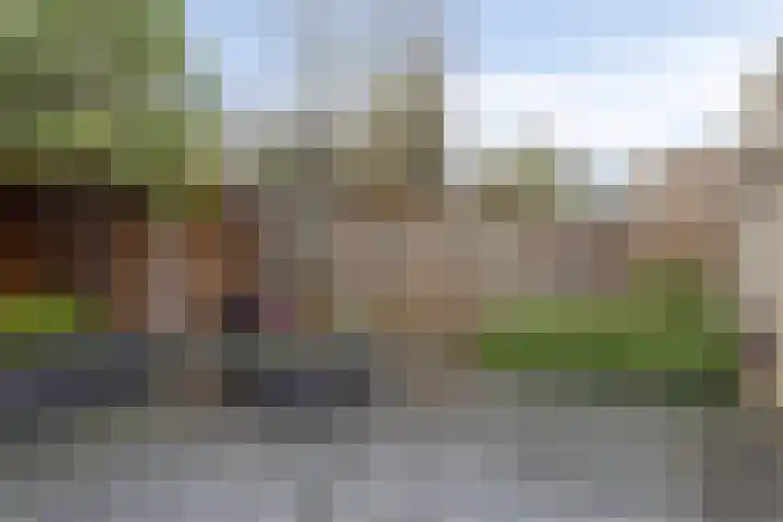 Stakenborg 4 Oss thumbnail 31