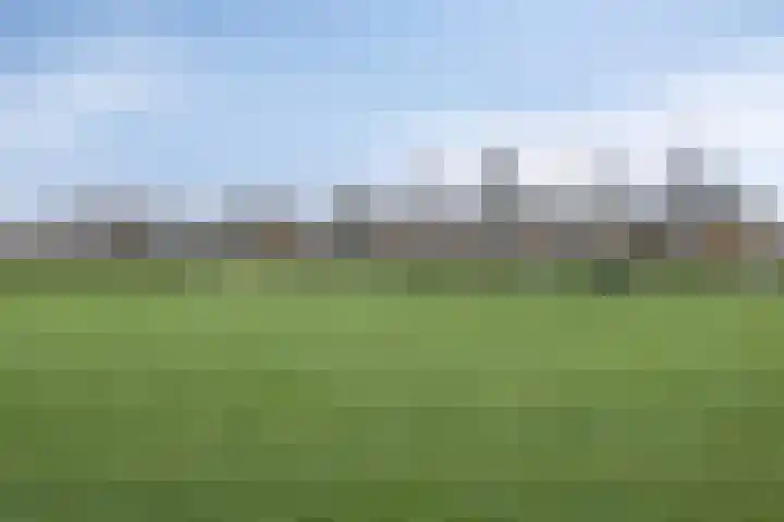 Stakenborg 4 Oss thumbnail 33