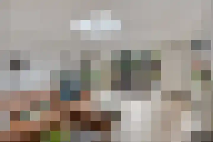 Stakenborg 4 Oss thumbnail 4