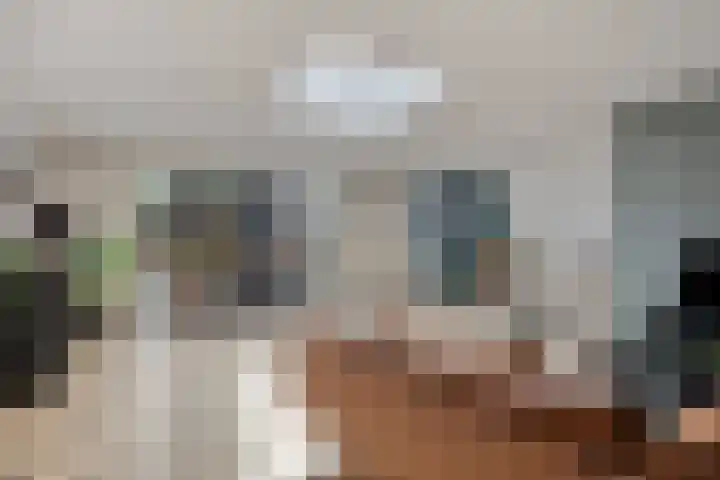 Stakenborg 4 Oss thumbnail 5