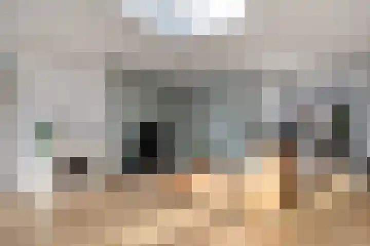Stakenborg 4 Oss thumbnail 8