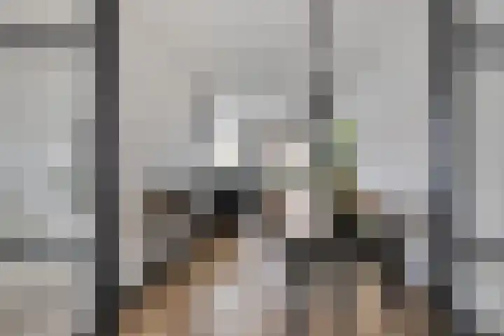 Stakenborg 4 Oss thumbnail 9