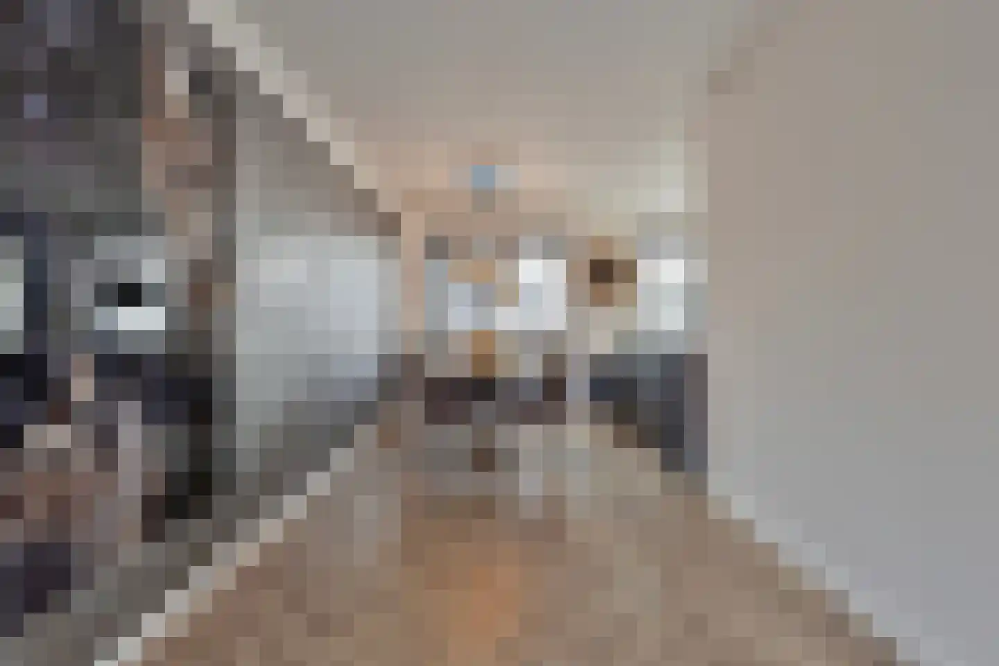 Stakenborg 8 Oss thumbnail 13