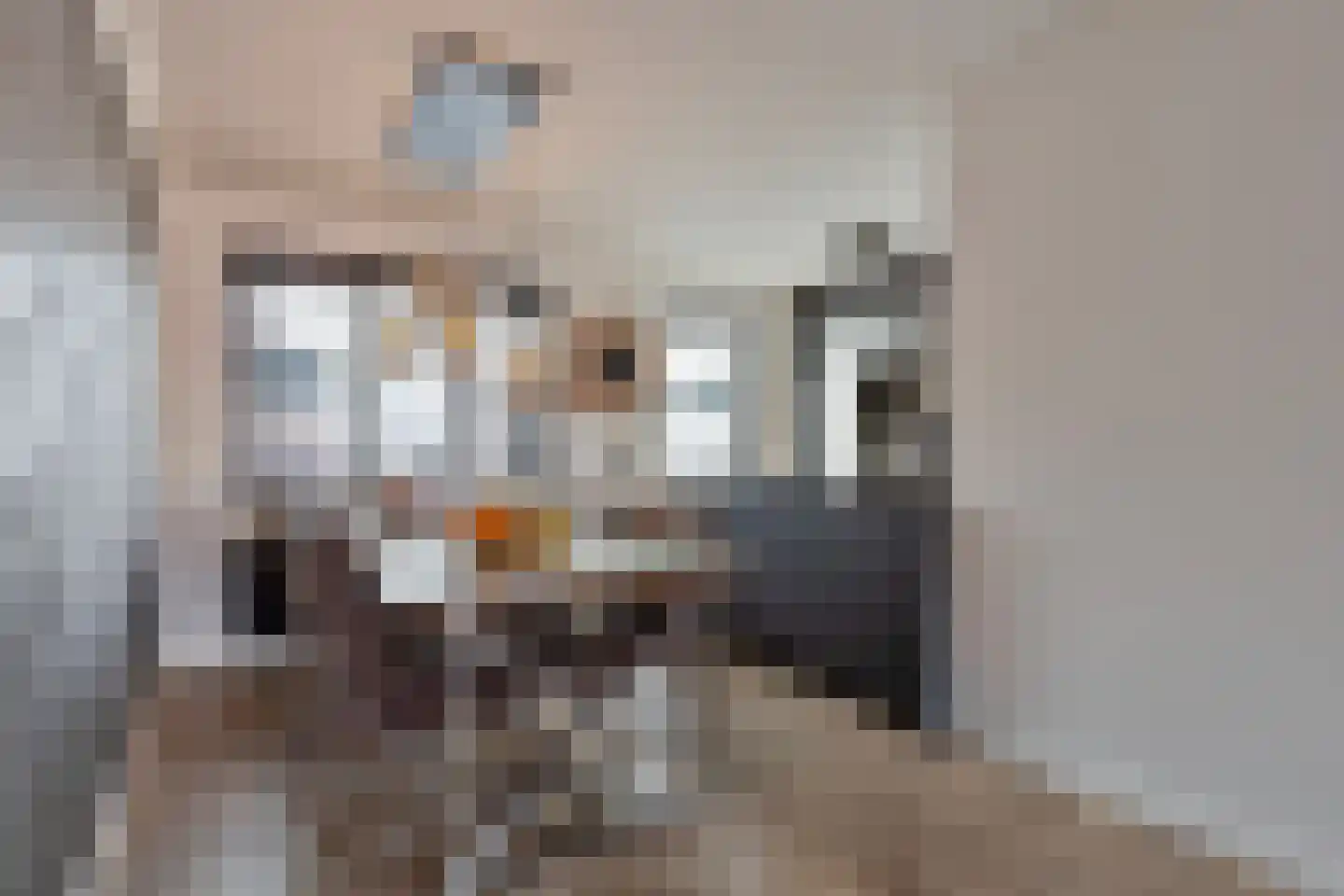 Stakenborg 8 Oss thumbnail 14