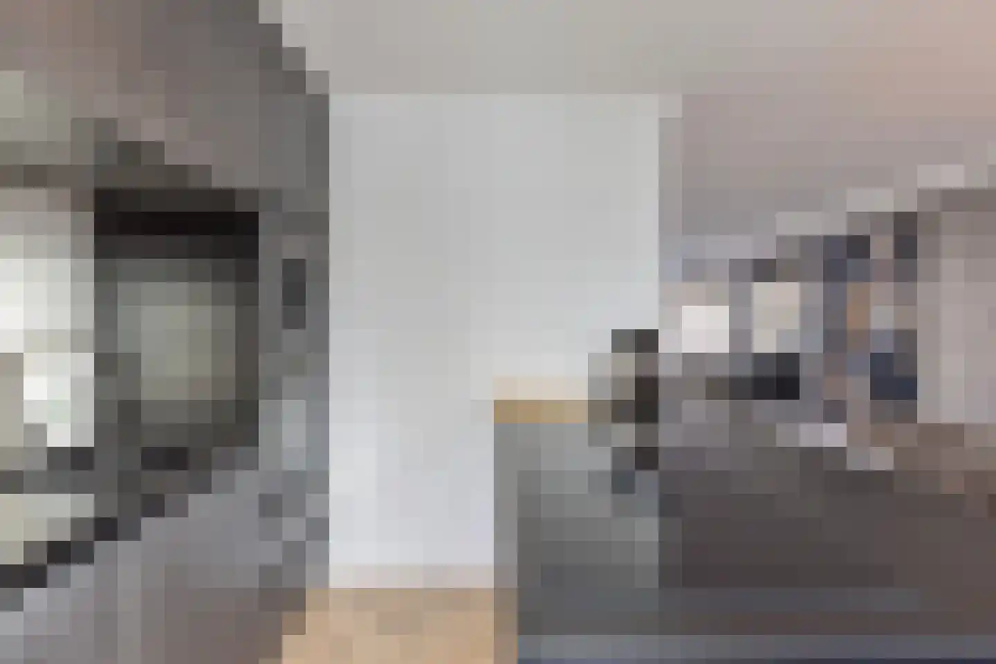 Stakenborg 8 Oss thumbnail 17