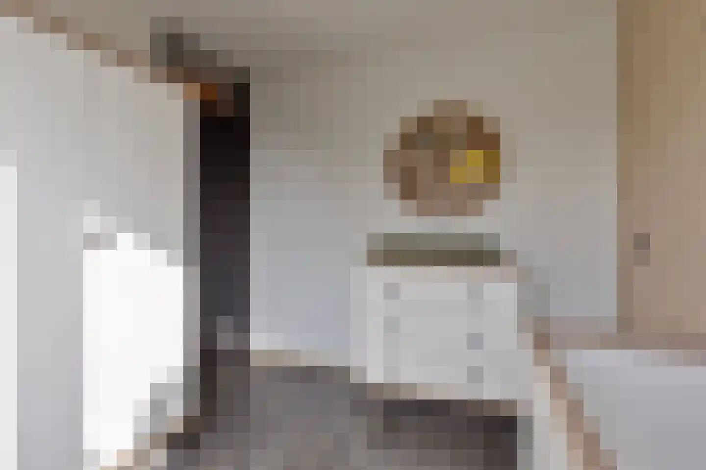 Stakenborg 8 Oss thumbnail 26