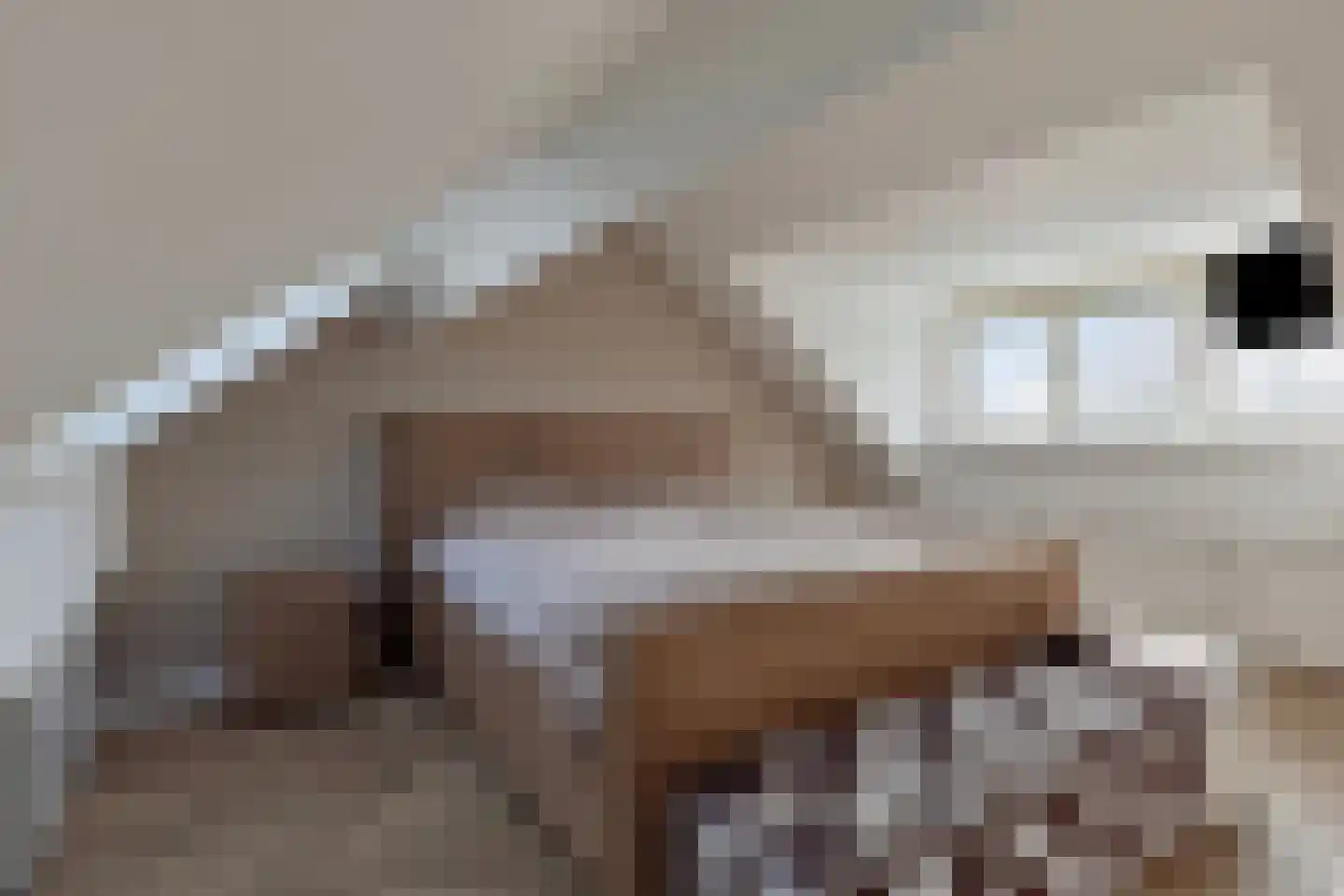 Stakenborg 8 Oss thumbnail 28