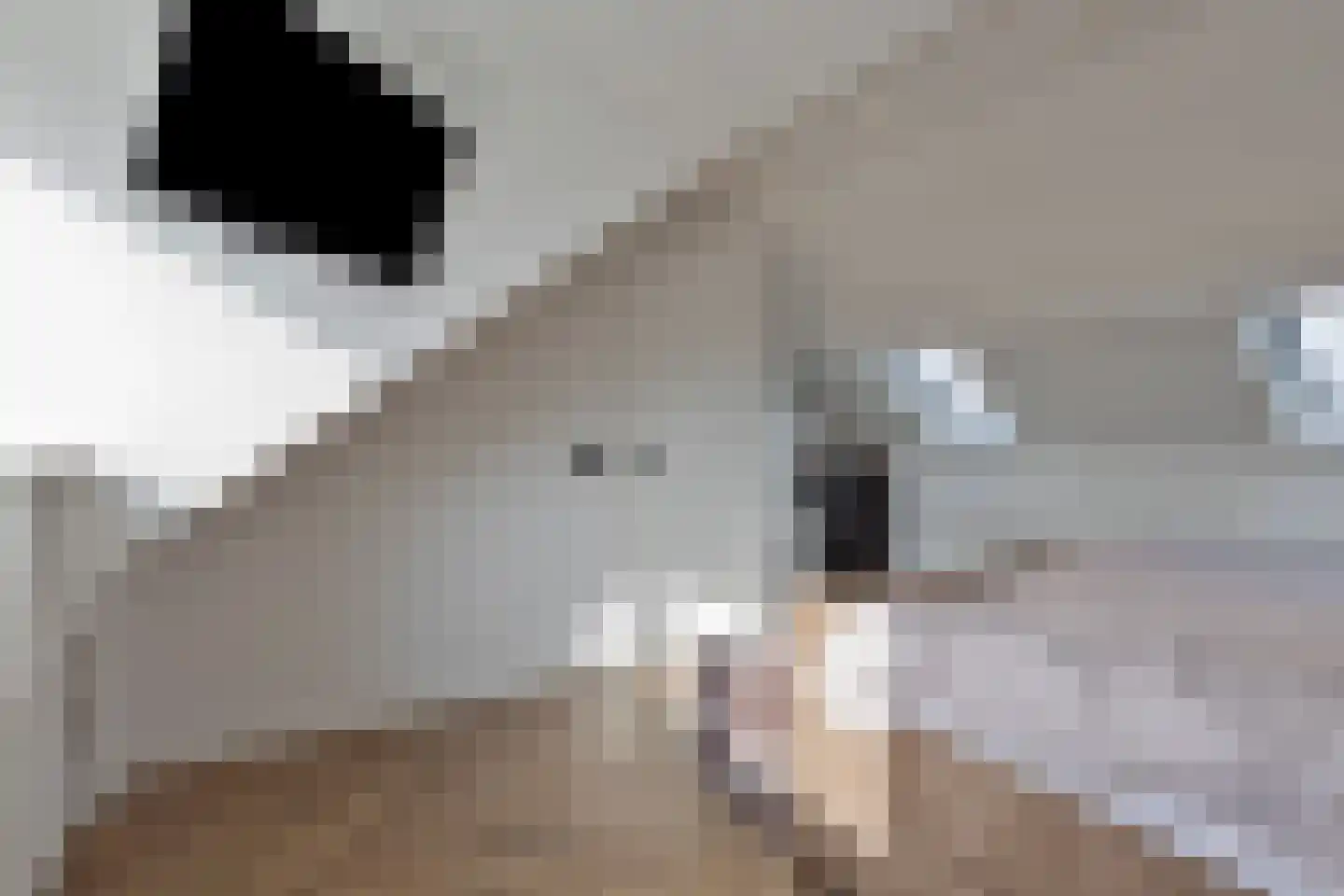 Stakenborg 8 Oss thumbnail 30