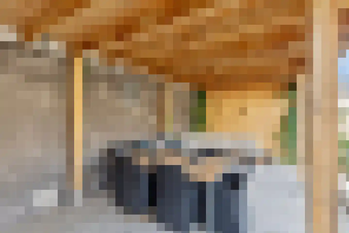 Stakenborg 8 Oss thumbnail 35