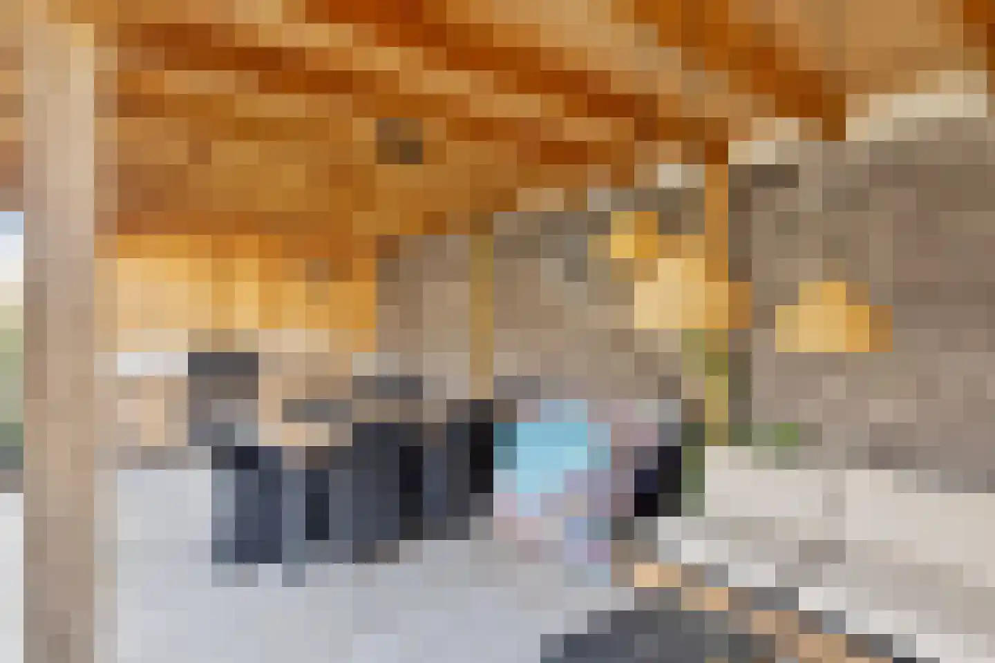 Stakenborg 8 Oss thumbnail 36