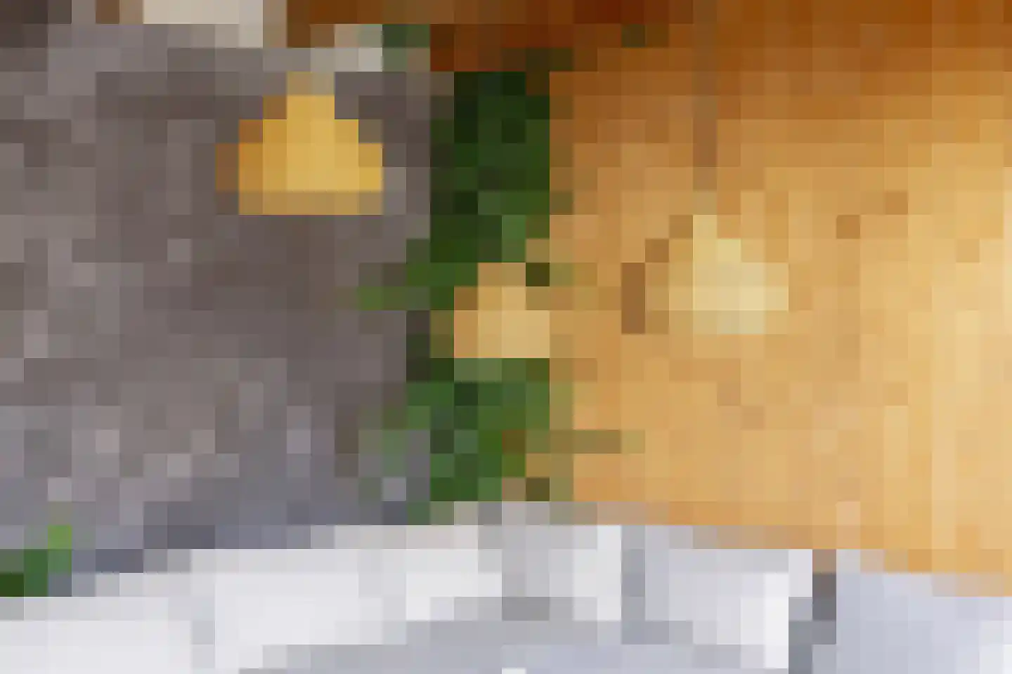 Stakenborg 8 Oss thumbnail 37