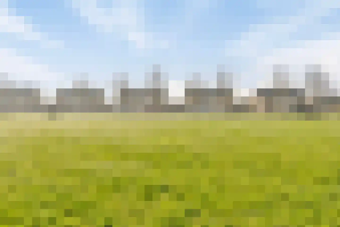 Stakenborg 8 Oss thumbnail 39