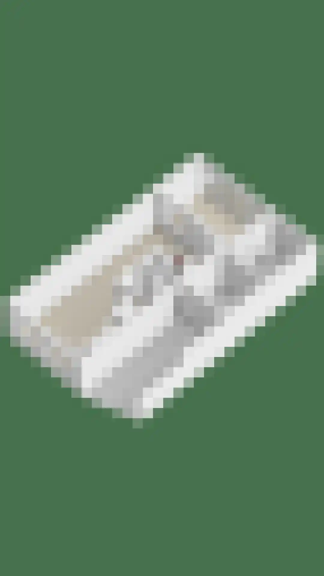 Stakenborg 8 Oss thumbnail 49