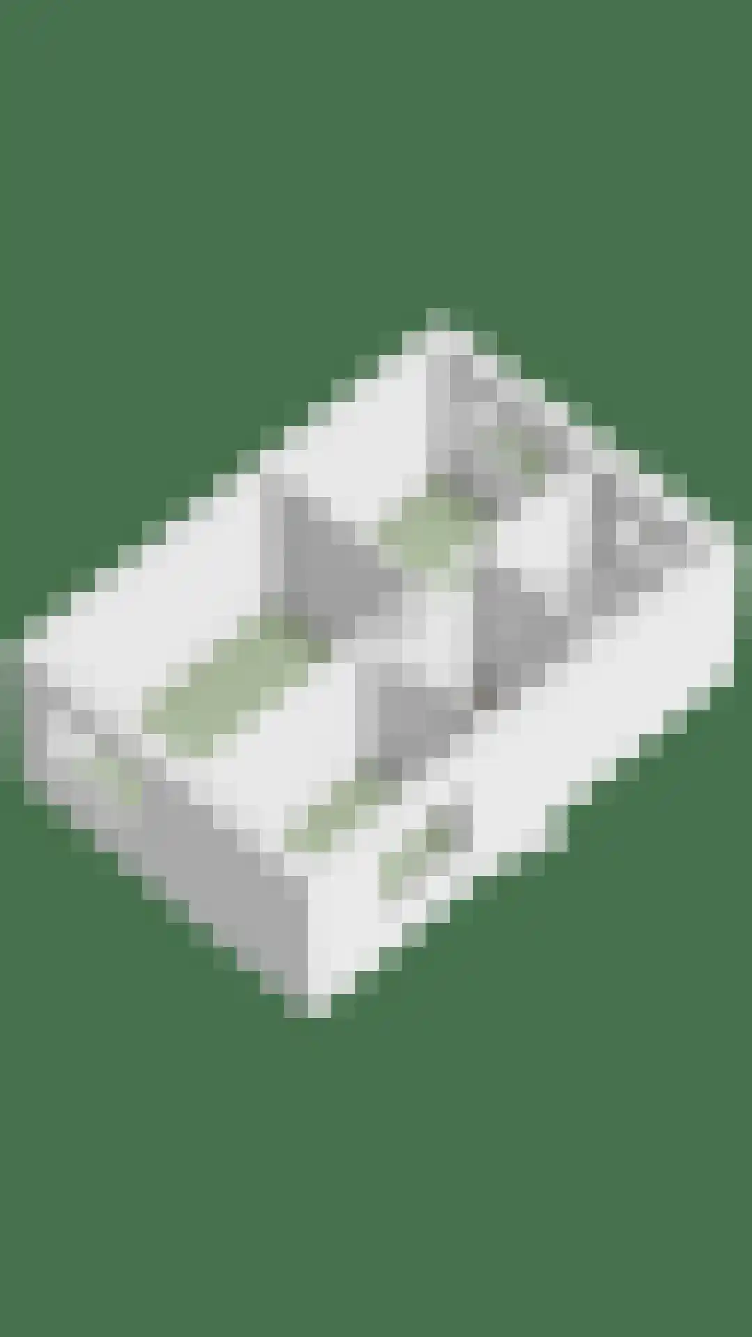 Stakenborg 8 Oss thumbnail 51