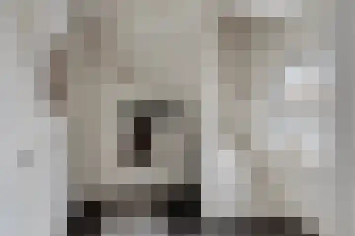 Stakenborgakker 3 Valkenswaard thumbnail 20