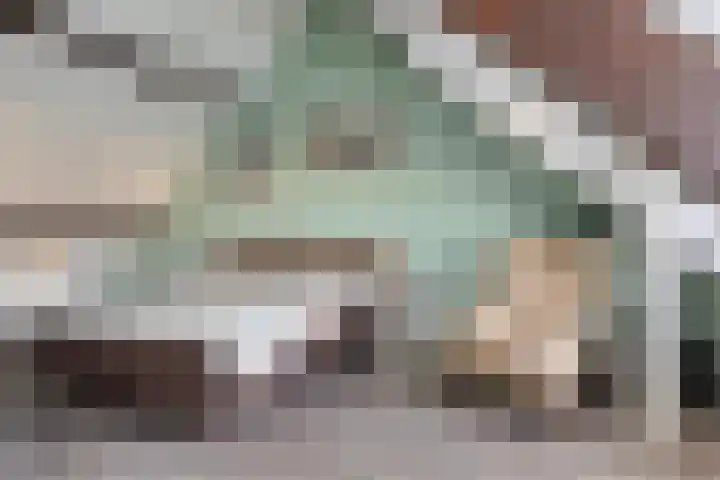 Stakenborgakker 3 Valkenswaard thumbnail 24